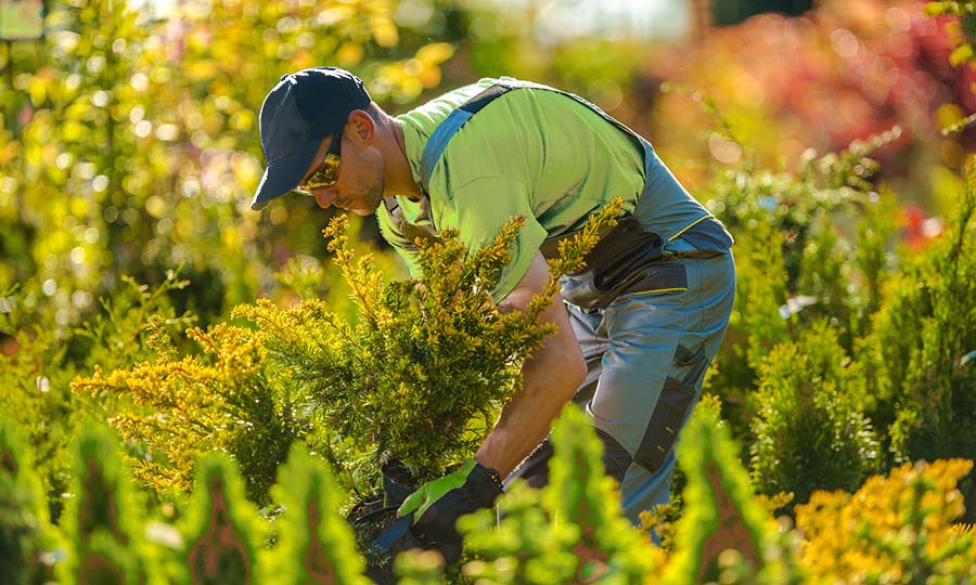 gardening services hamilton ontario