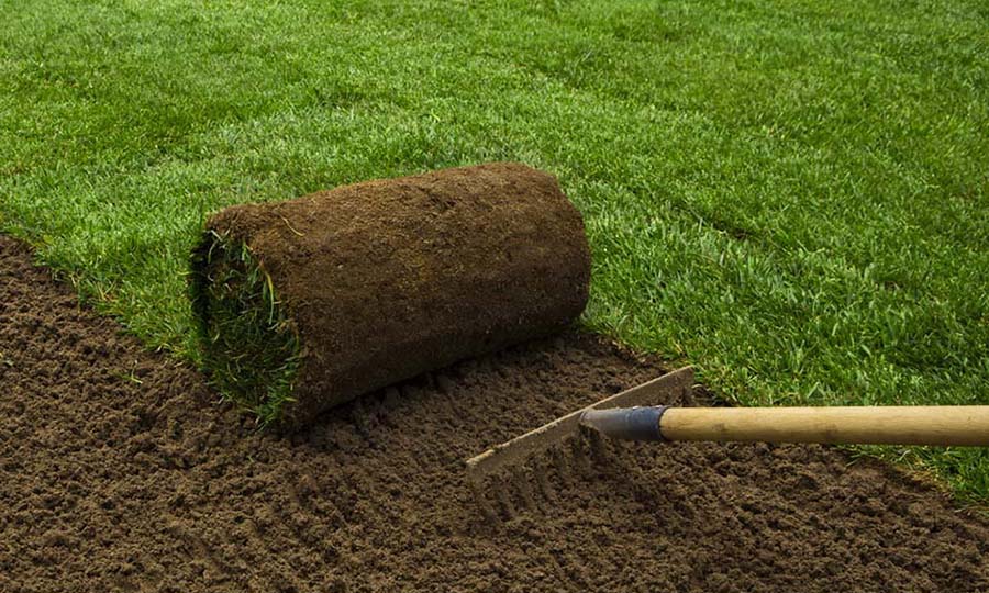 sod installation services hamilton ontario