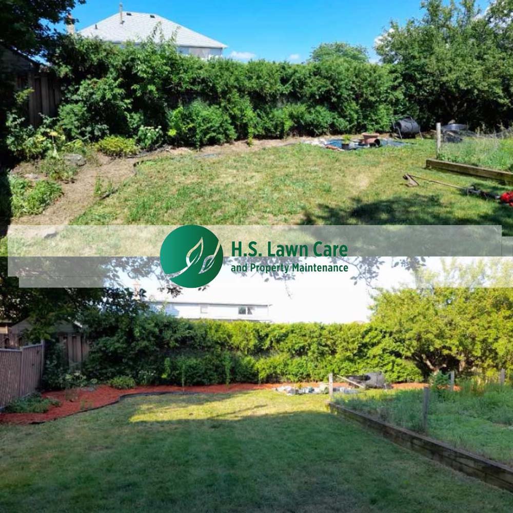 lawn care and property maintenance