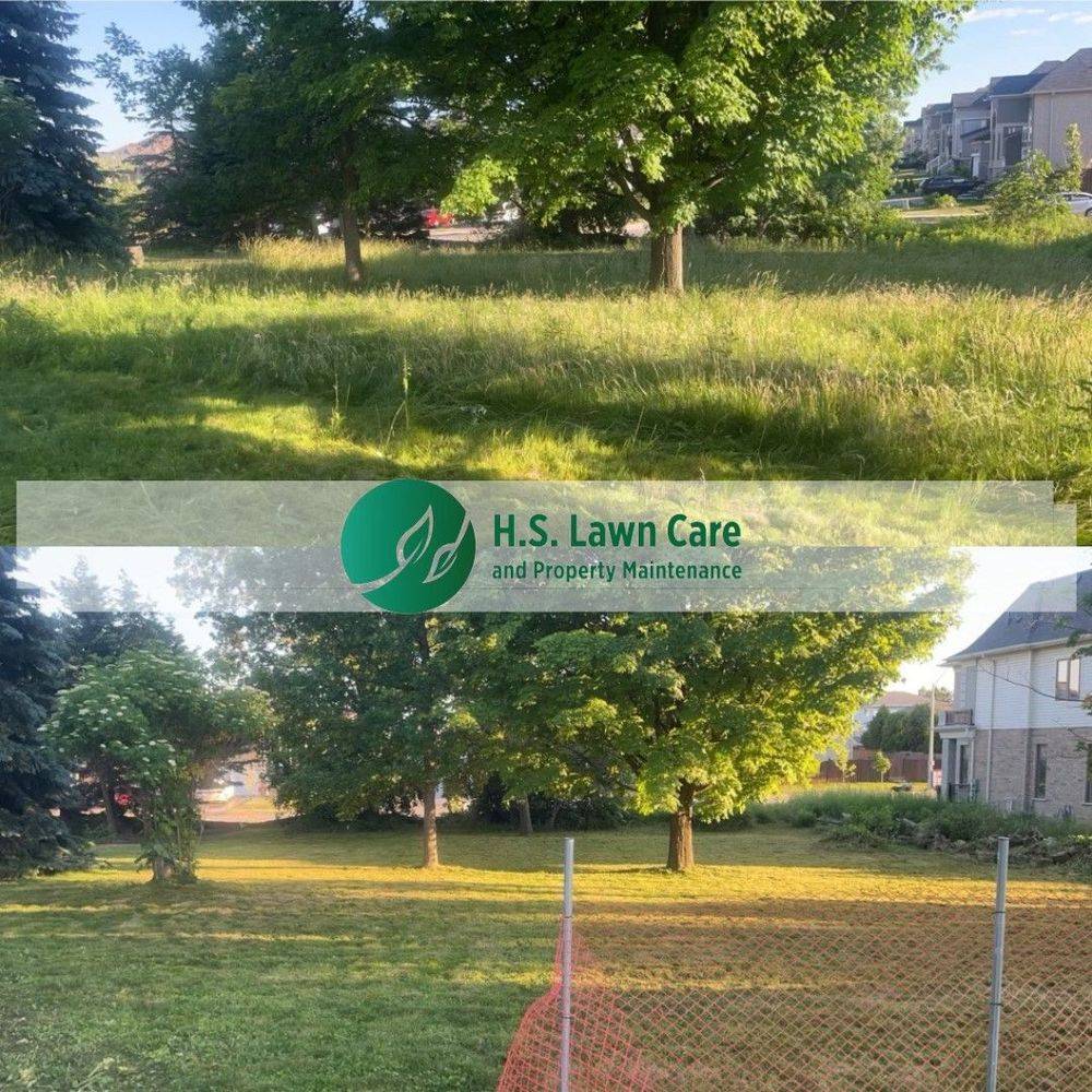 lawn care and property maintenance