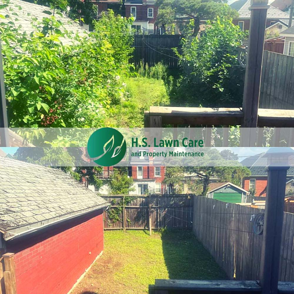 lawn care and property maintenance