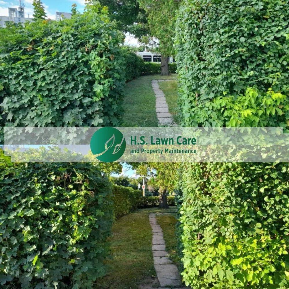 lawn care and property maintenance