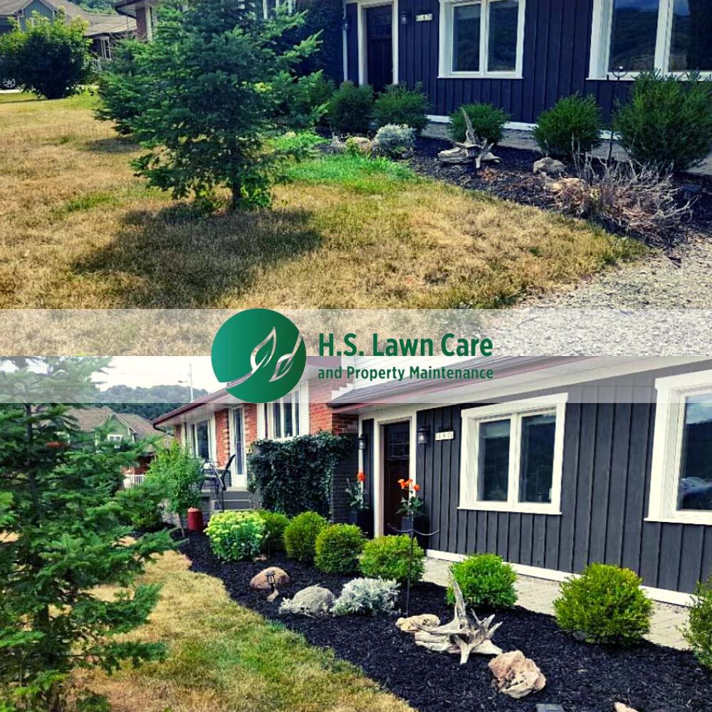 lawn care and property maintenance