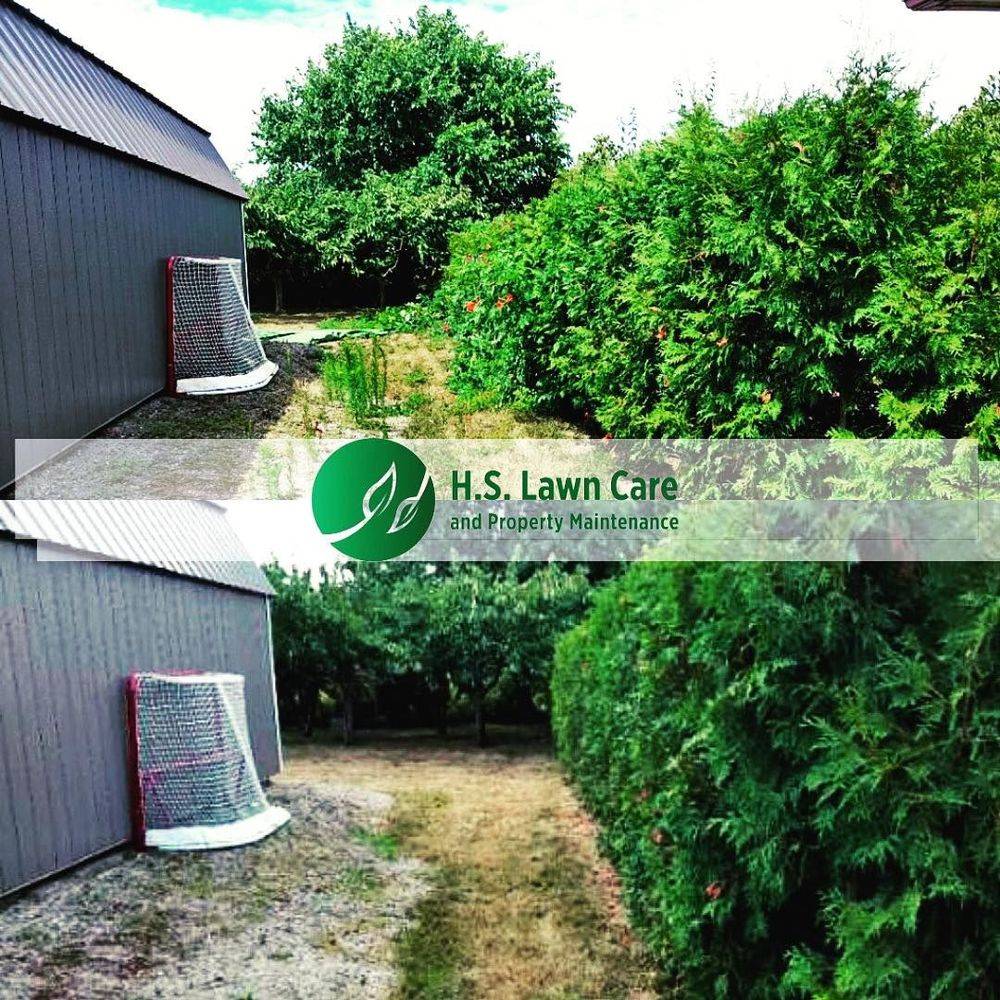 lawn care and property maintenance