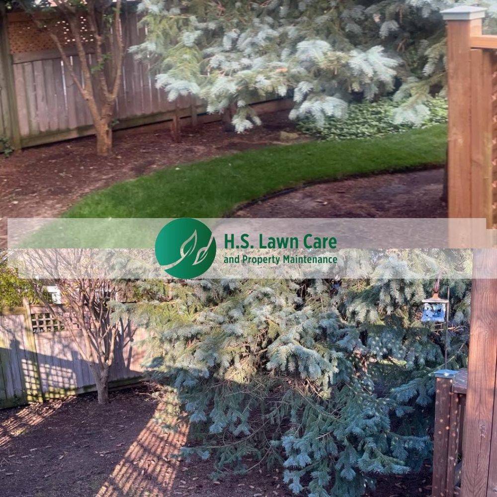 lawn care and property maintenance