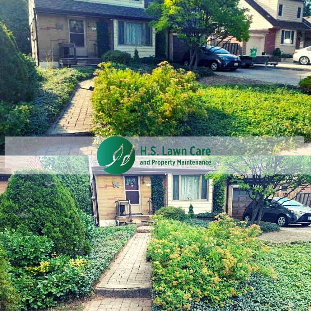 lawn care and property maintenance