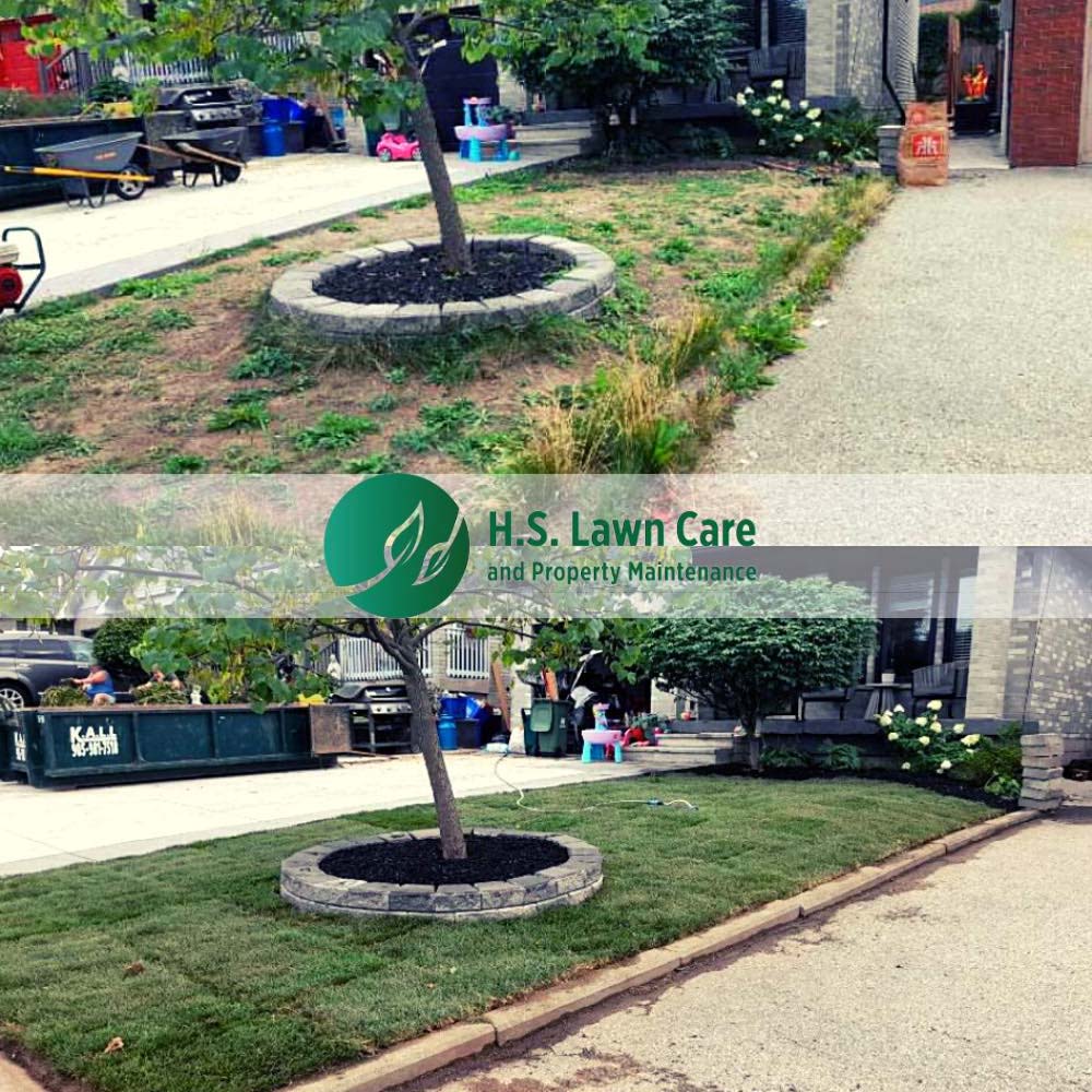 lawn care and property maintenance