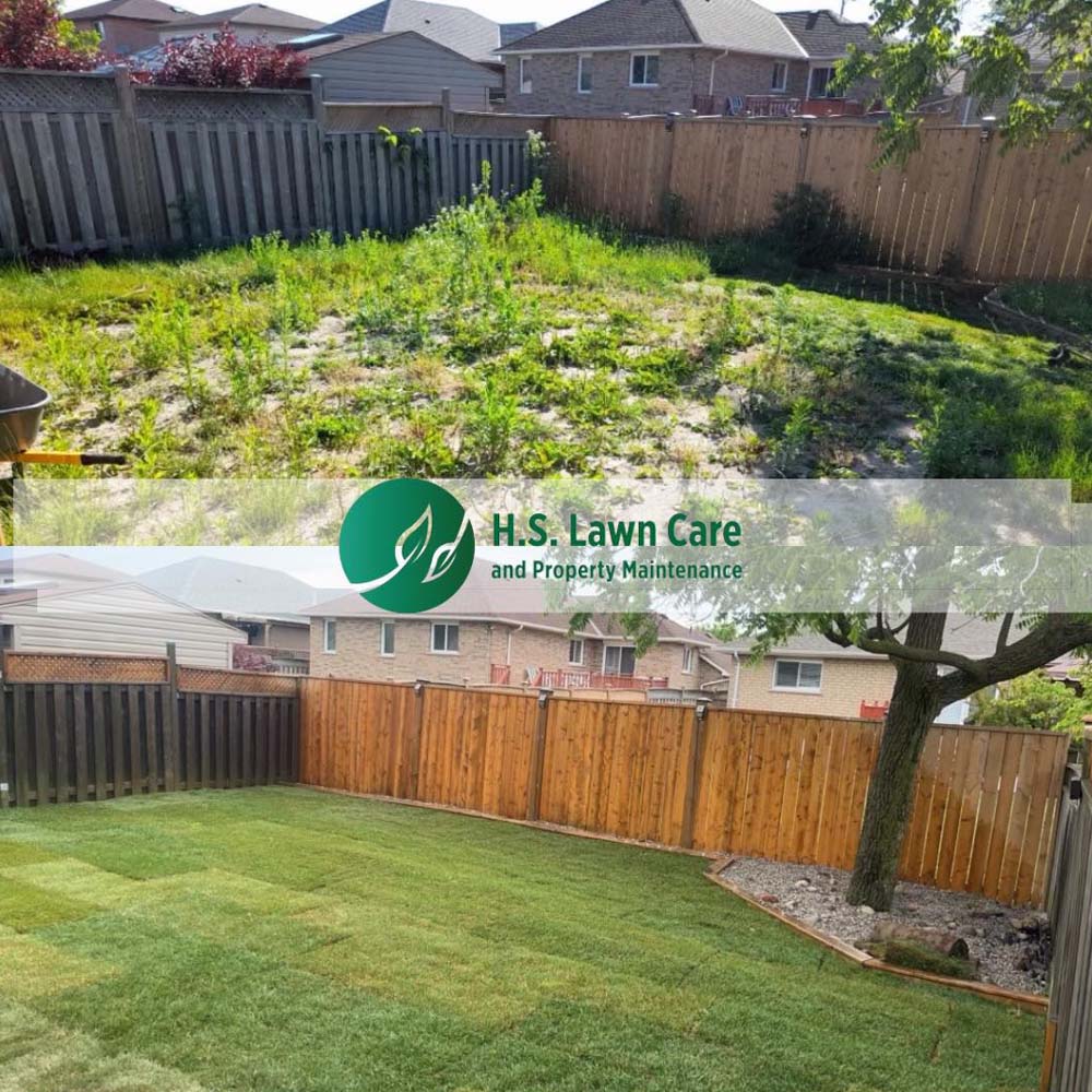 lawn care and property maintenance