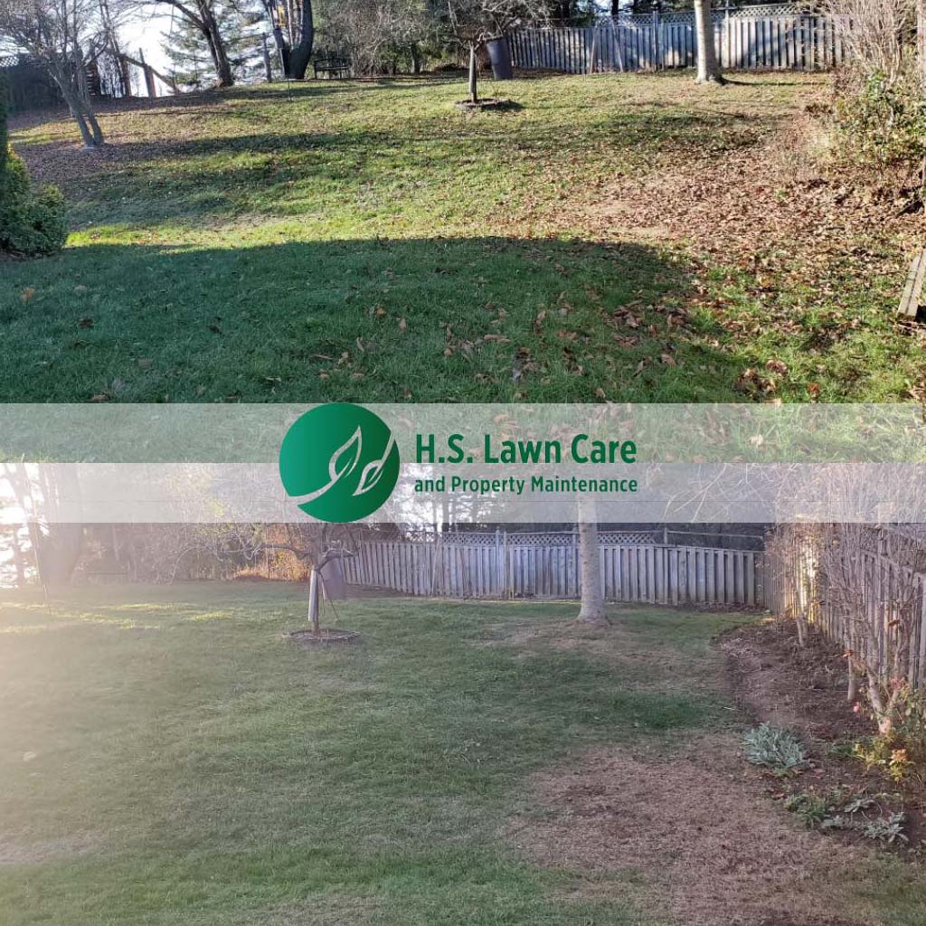 lawn care and property maintenance