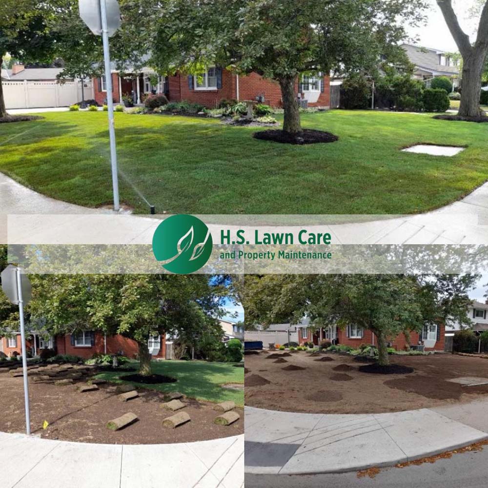 lawn care and property maintenance