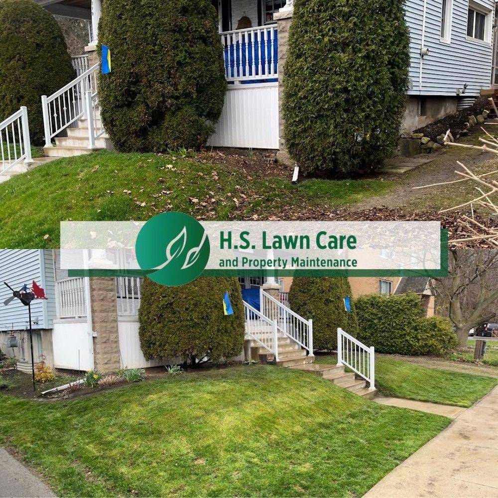 lawn care and property maintenance