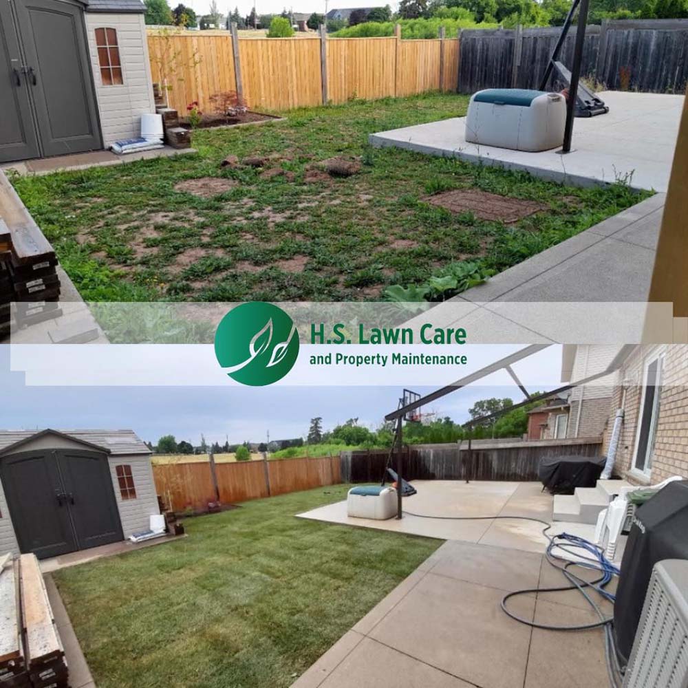 lawn care and property maintenance