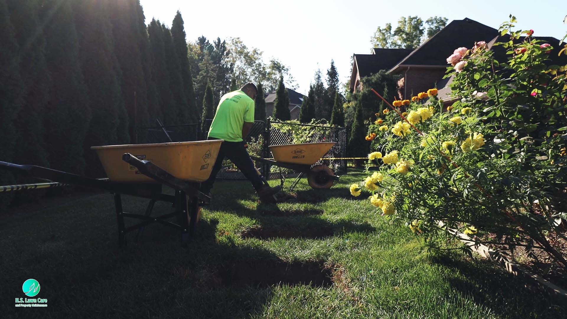 lawn care and property maintenance