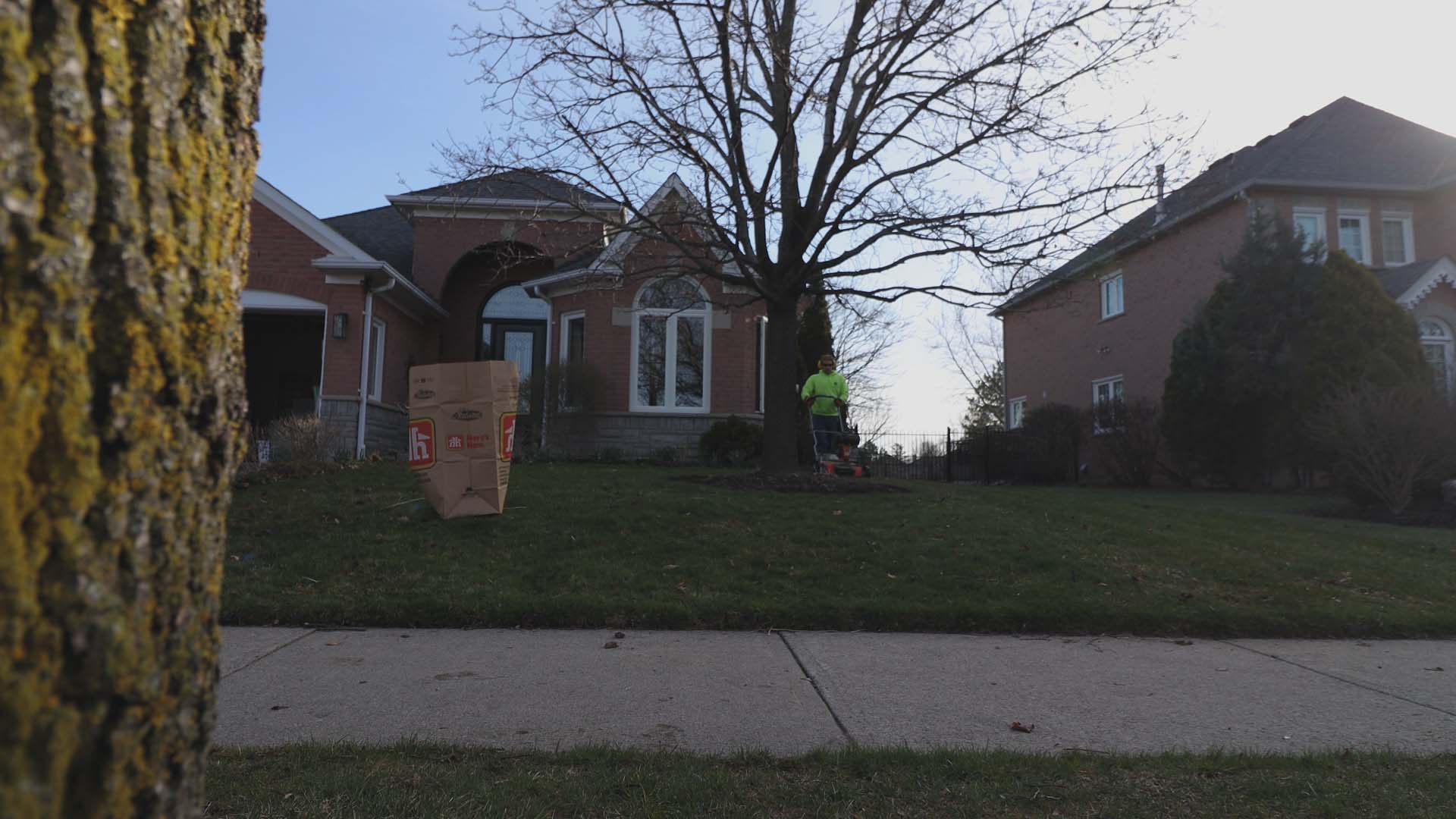 yard clean up services Hamilton Ontario