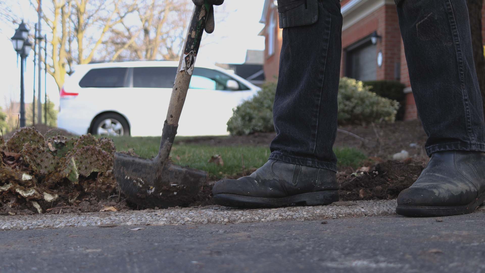 yard clean up services Hamilton Ontario