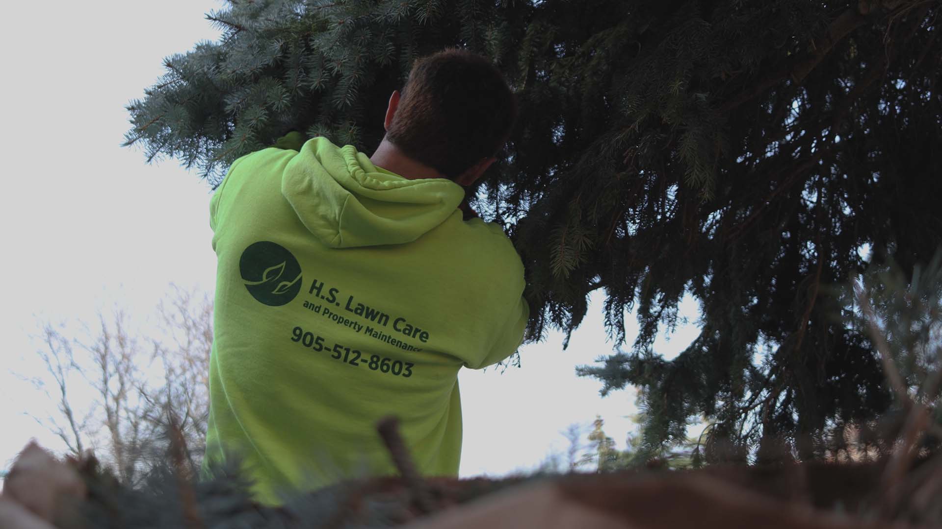 yard clean up services Hamilton Ontario