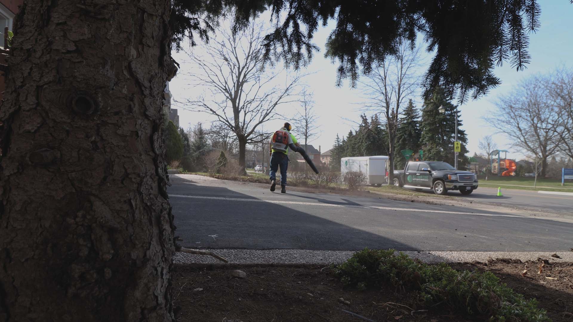 yard clean up services Hamilton Ontario