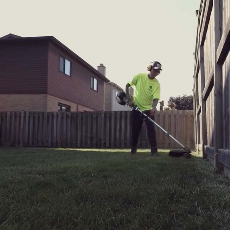 lawn cutting services hamilton and burlington area