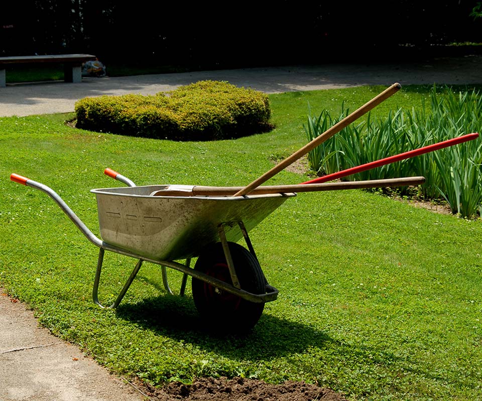 Spring yard cleanup and seasonal property restoration