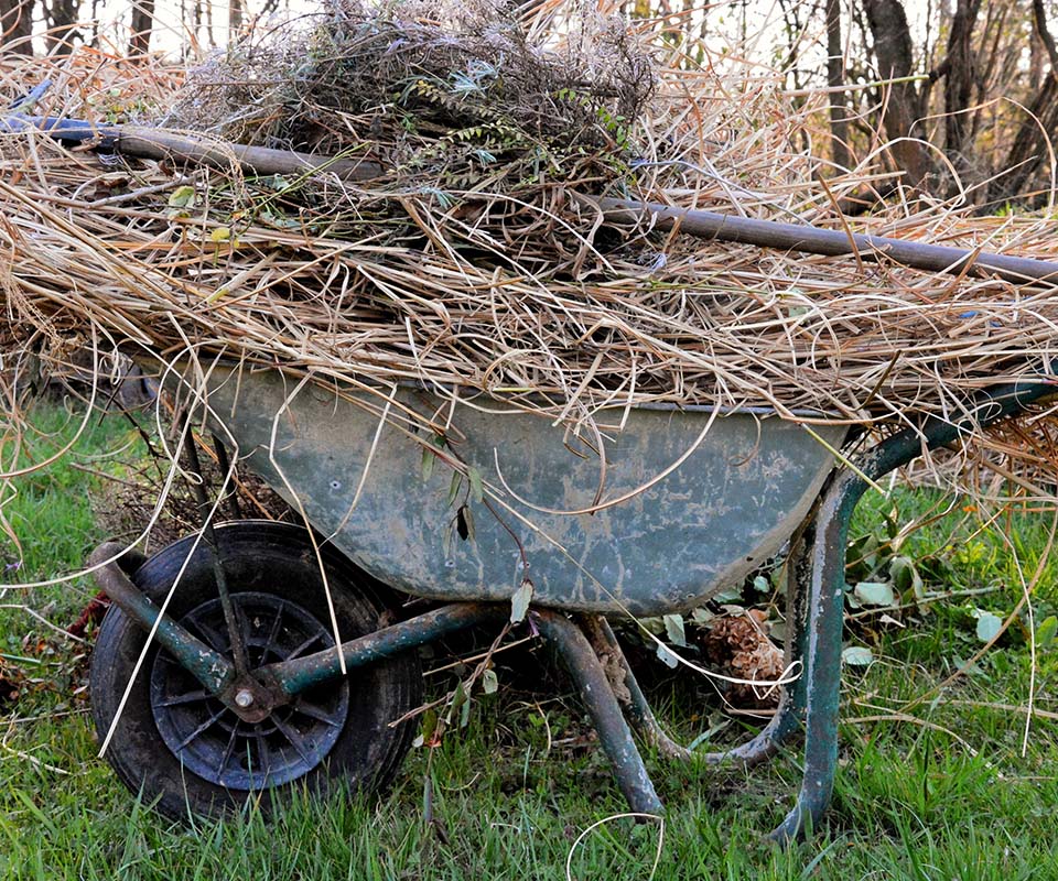 yard waste junk removal services hamilton